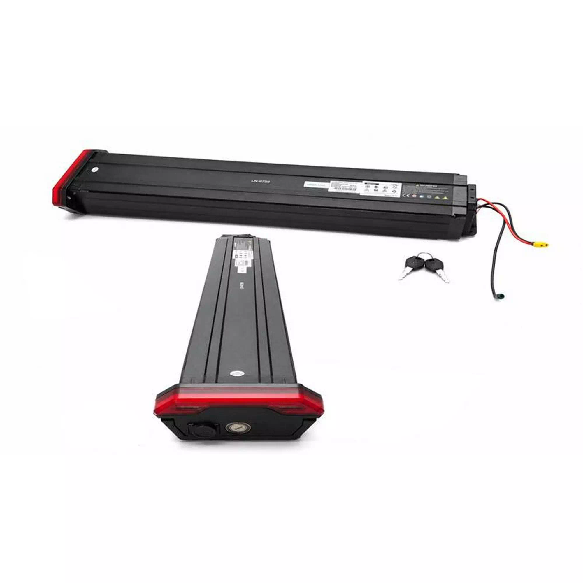 APE RYDER GIBBON ULTRA PRO AKÜ 48V 15AH #AR 1526